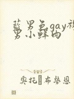 蓝男色gay裸男小鲜肉封面