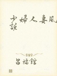 少妇人妻风流小说
