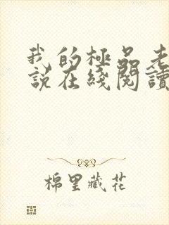 我的极品老婆小说在线阅读