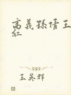 高义孙倩王申美红