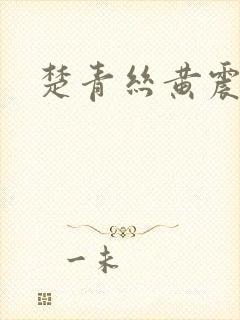 楚青丝黄震陈叔