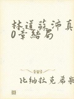 林道苏沛真130章结局