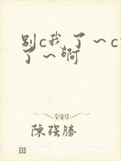 别c我了～c烂了～啊