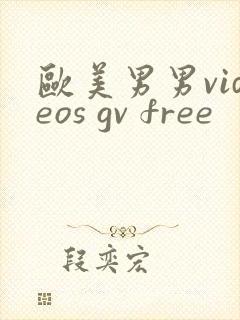 欧美男男videos gv free封面