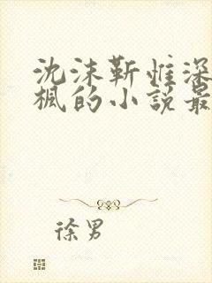 沈沫靳惟深祁辰枫的小说最新章节更