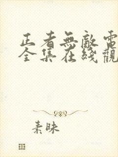 正者无敌电视剧全集在线观看