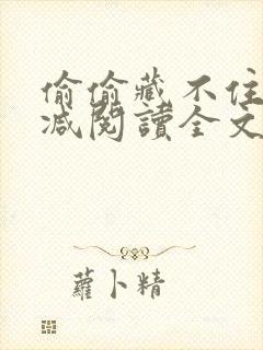 偷偷藏不住无删减阅读全文