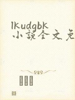 lkudgbk小说全文免费阅读笔趣阁无弹窗封面