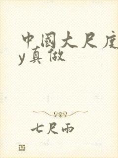 中国大尺度gay真做