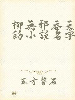 柳无邪吞天神鼎的小说名字封面