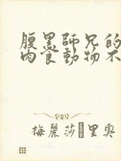 腹黑师兄的日常肉食动物不食草