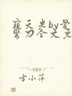 窥天光by骨色弯刀全文免费阅读笔趣阁