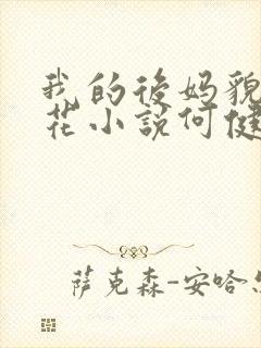 我的后妈貌美如花小说何健免费阅读