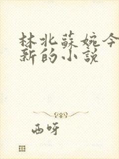 林北苏婉今日更新的小说封面