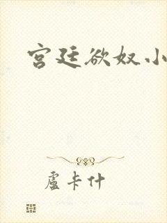 宫廷欲奴小说封面