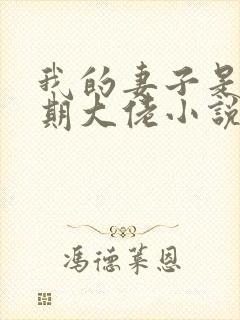 我的妻子是大乘期大佬小说无删减