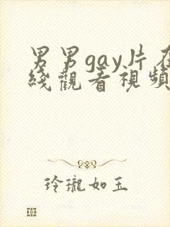 男男gay片在线观看视频