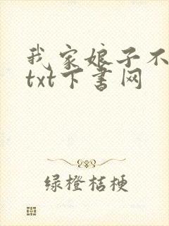 我家娘子不对劲txt下书网封面