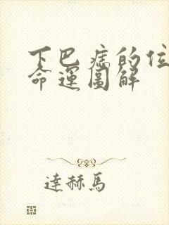 下巴痣的位置与命运图解