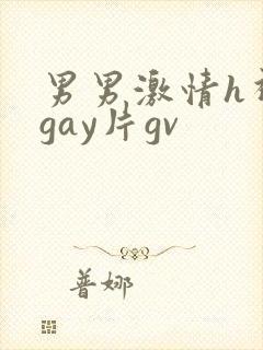 男男激情h视频gay片gv