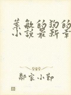 叶敏的狗的乐趣小说最新章节更新