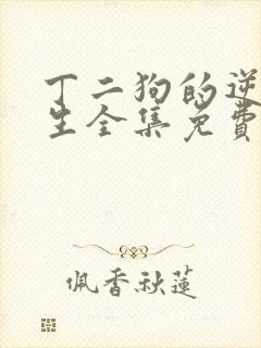 丁二狗的逆袭人生全集免费封面