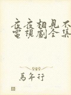 夜夜相见不识君电视剧全集免费