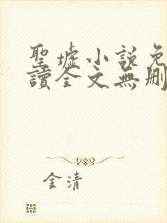 圣墟小说免费阅读全文无删减封面