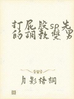 打屁股sp先生的调教双男主小说