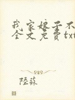 我家娘子不对劲全文免费txt下载