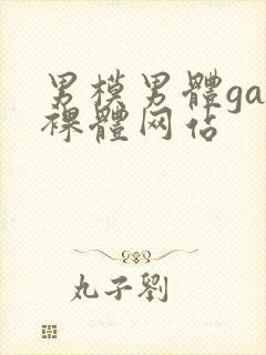 男模男体gay裸体网站