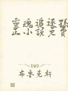 灵魂追逐孙静小正小说免费阅读无弹窗