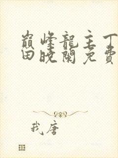 巅峰龙主丁长顺田晓兰免费阅读