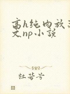 高h纯肉放荡h文np小说
