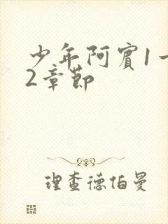 少年阿宾1一72章节封面