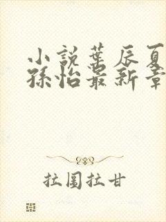 小说叶辰夏若雪孙怡最新章节封面