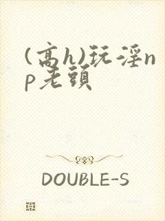 (高h)玩淫np老头封面