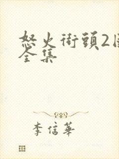 怒火街头2国语全集