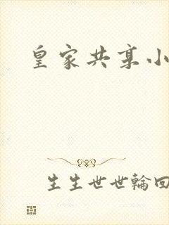 皇家共享小公主封面