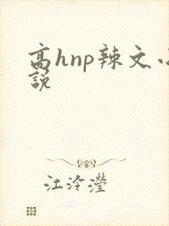 高hnp辣文小说