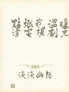 点燃我温暖你高清电视剧免费观看