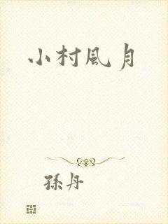 小村风月封面