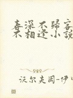 春深不归客清梦不相逢小说免费