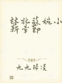 林北苏婉小说最新章节