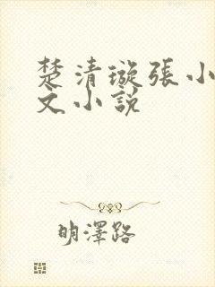 楚清璇张小凡全文小说封面