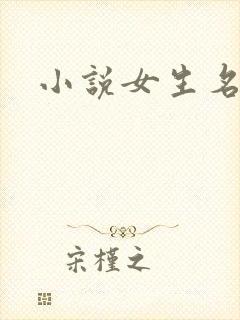 小说女生名字封面