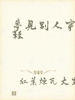 梦见别人穿新拖鞋封面