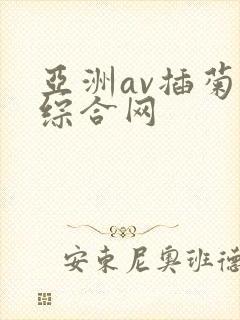 亚洲av插菊花综合网