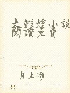 大杂烩小说全集阅读免费封面