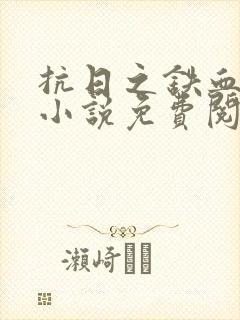 抗日之铁血连长小说免费阅读